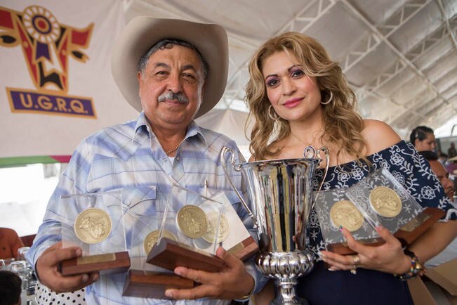 Durante el sexto Congreso Panamericano Braunvieh y Brown Swiss, que se realizó en el Eco Centro Expositor en el municipio de El Marqués, se reconoció a ganaderos por mejoramiento genético de razas, entre otras categorías (DEMIAN CHÁVEZ. EL UNIVERSAL)