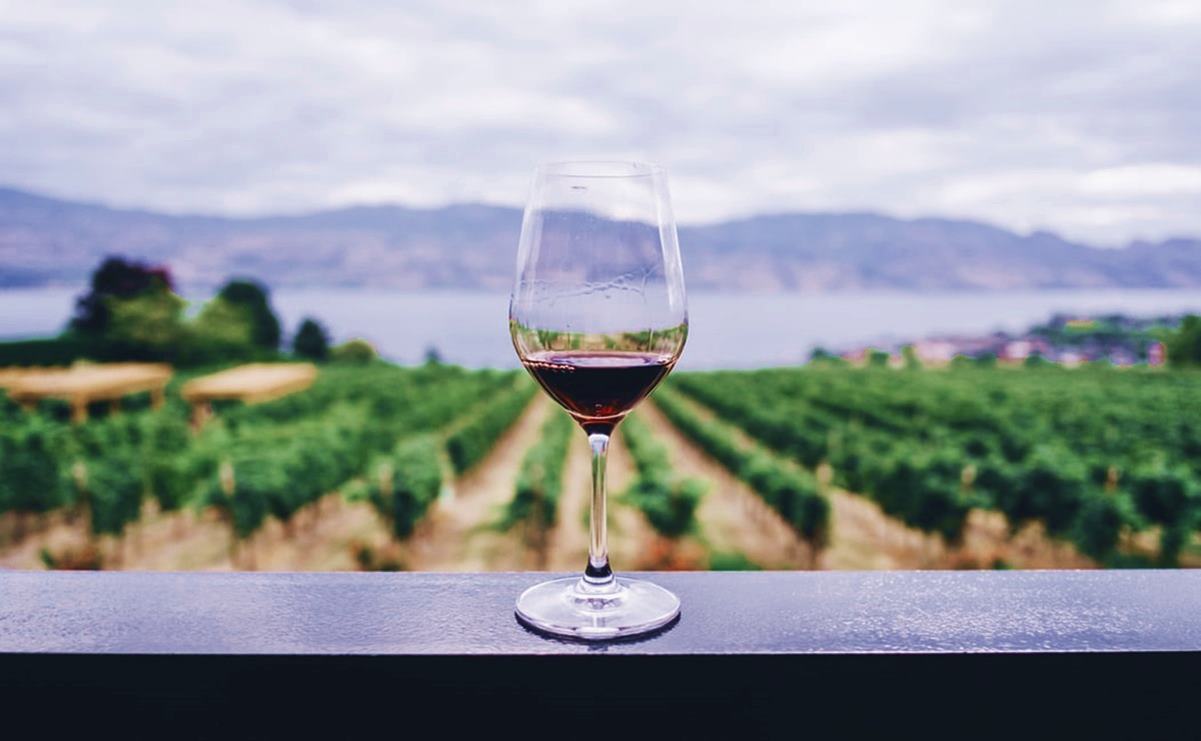 Estos son los mejores vinos de Querétaro, según el Mundial de Bruselas 2022