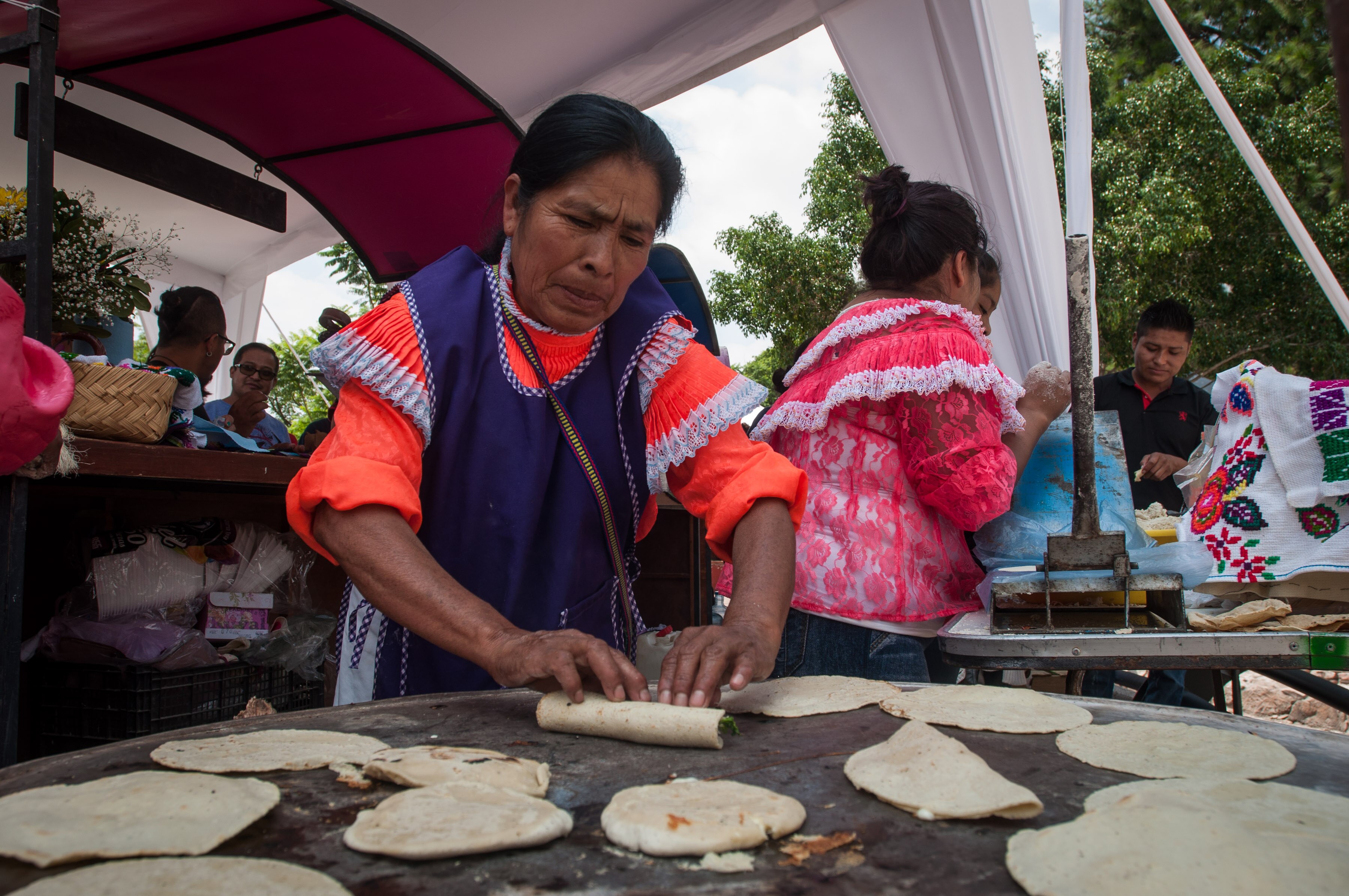 “Con flora y fauna del campo se guisa rico”