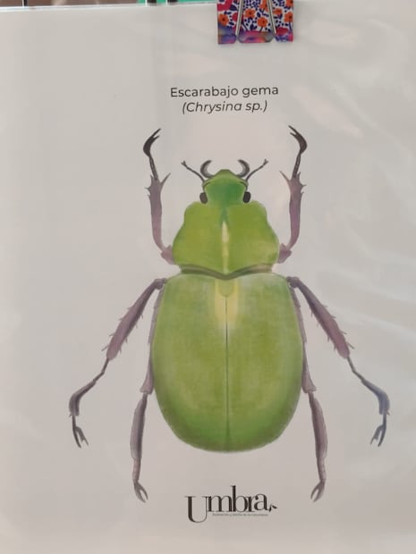 FOTO. ROCÍO G. BENÍTEZ