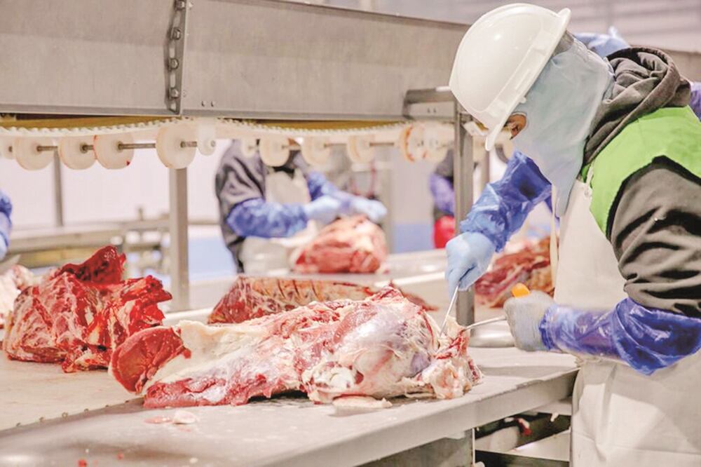 Los aranceles que México aplicó a sus exportaciones de carne de cerdo, entre otros productos, a Estados Unidos, se mantendrán más de un año, según el Comce. / Foto: Archivo