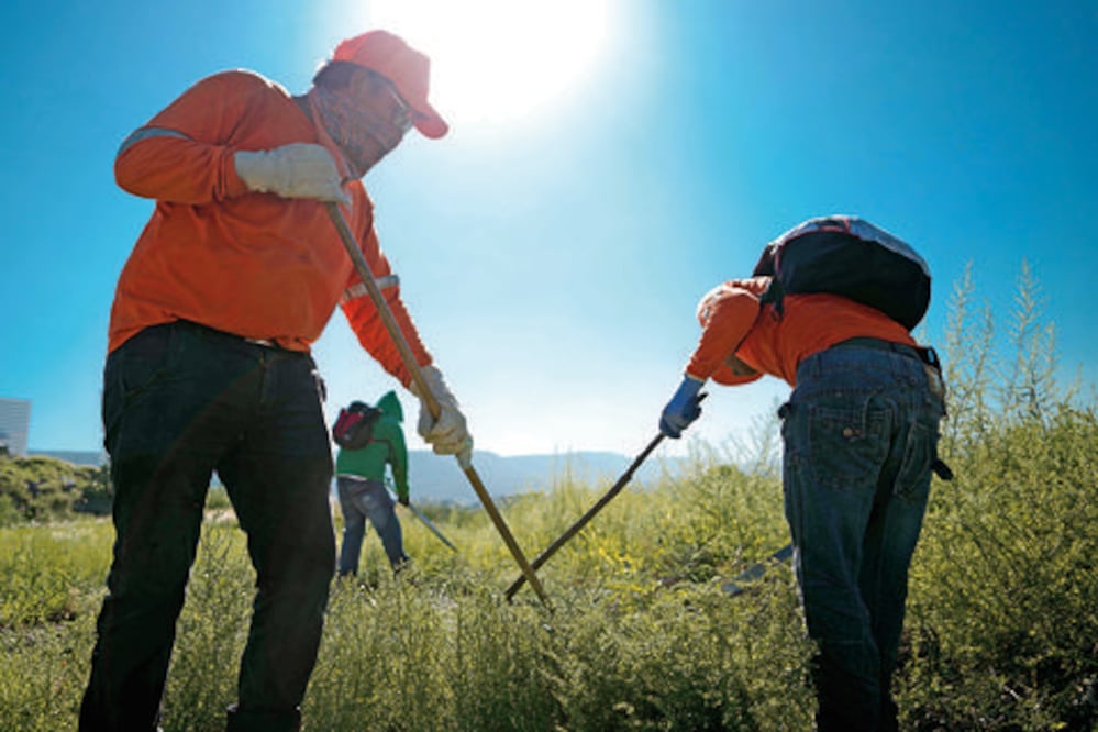 Limpiará municipio 40% de baldíos abandonados