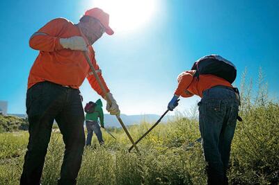 Limpiará municipio 40% de baldíos abandonados