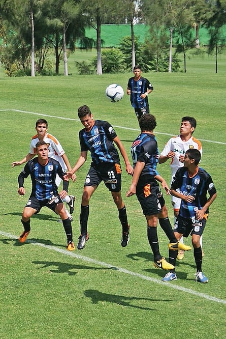 Gallos Blancos convoca a visorías