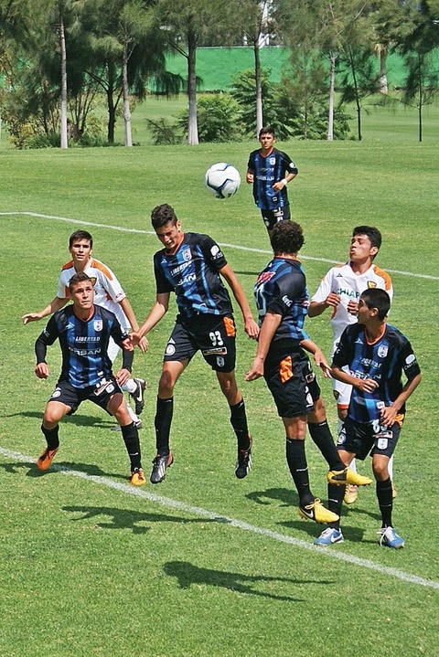 Gallos Blancos convoca a visorías