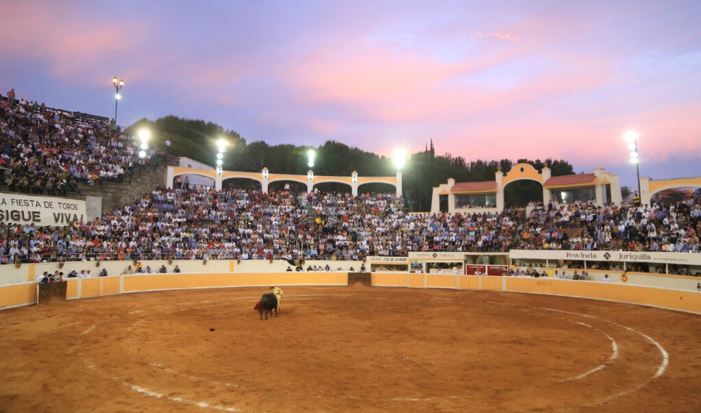 Foto: Gonzalo Ibañez