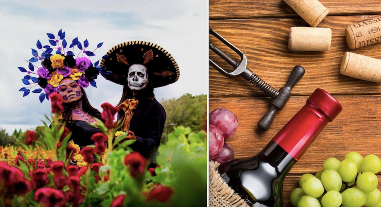 Hallowine, el evento de vino y miedo en Querétaro