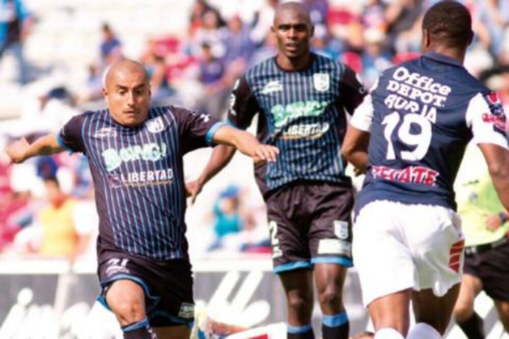 Gallos Blancos quieren cantar