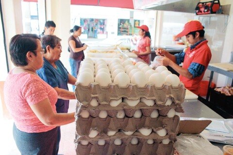 Reactivan industria local del huevo 