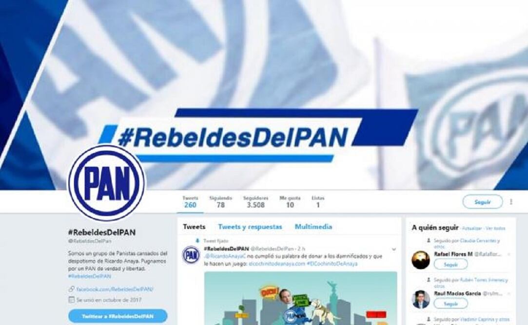 En el perfil se lee: “pugnamos por un PAN de verdad y libertad”. (Foto: Especial)