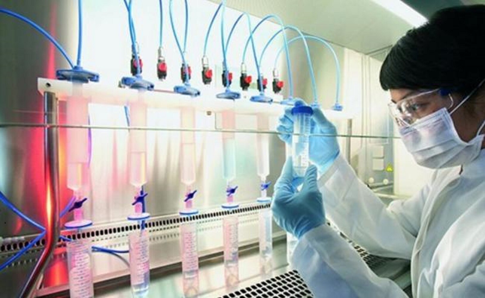 ¿Cuál es la opinión de los mexicanos sobre la ciencia?