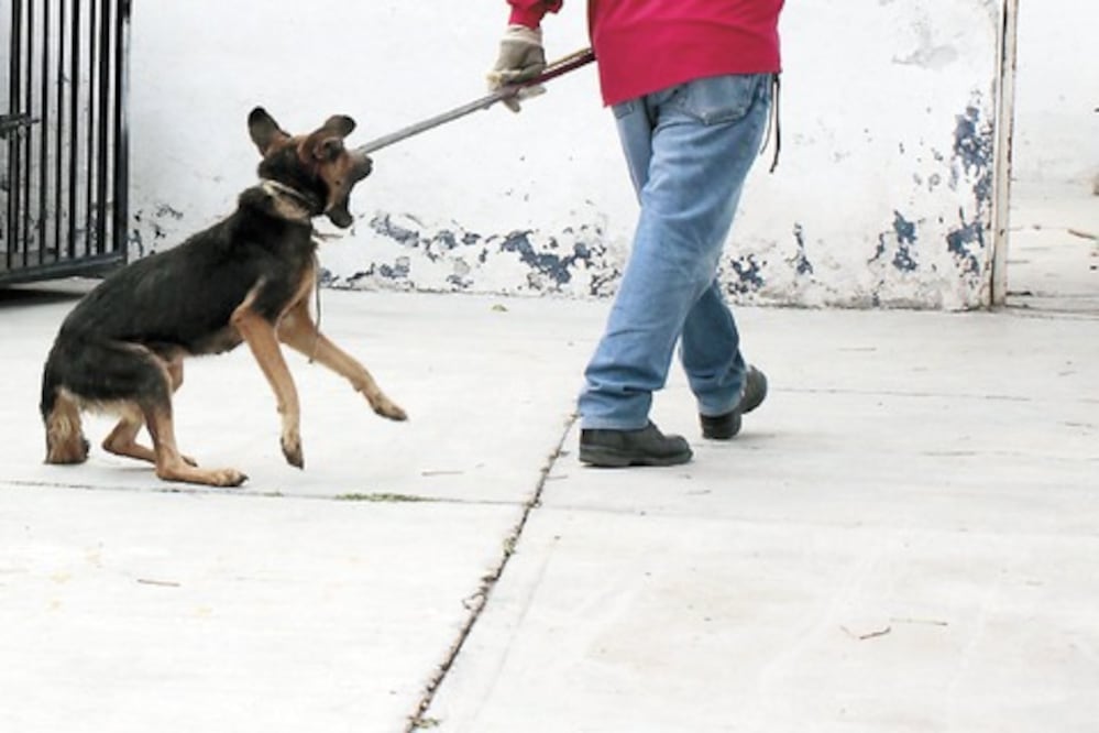 Diputados apoyan propuesta