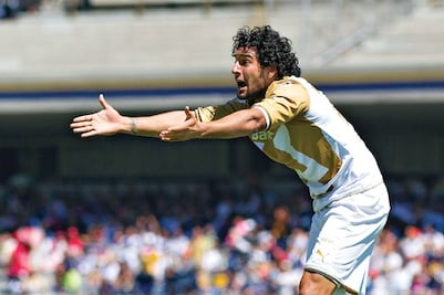 Distraído, retrae las garras