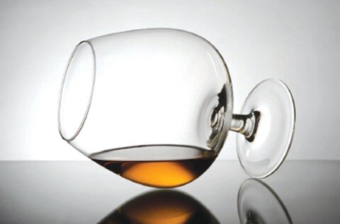 Se integra a la familia