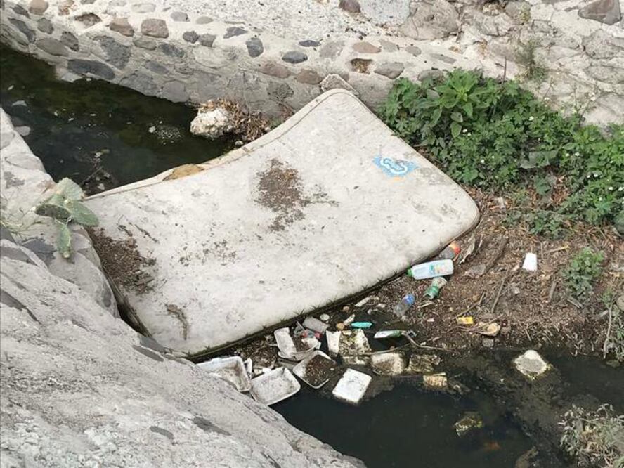 Foto: Demian Chávez