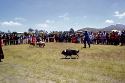 Fomentan sana convivencia entre familia