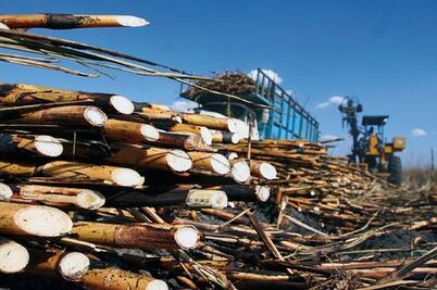 Habrá crisis si EU frena al azúcar