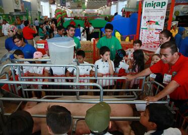 “Del campo a mi casa”