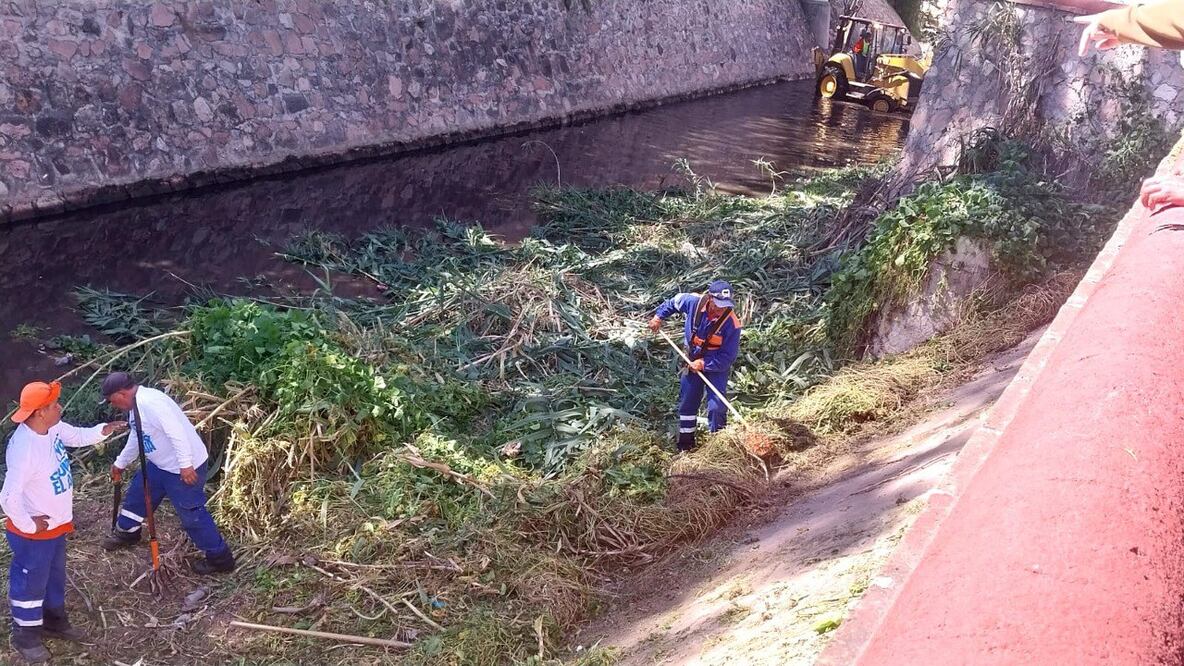 FOTO:  DOMINGO VALDES