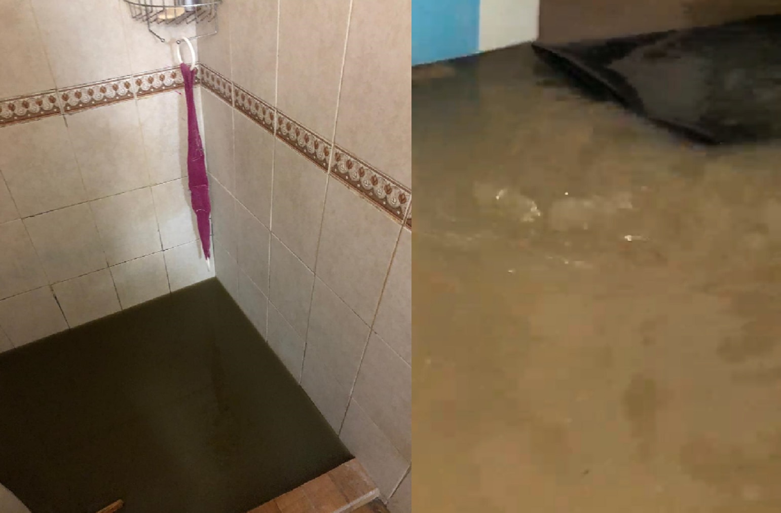 Foto: Captura de pantalla