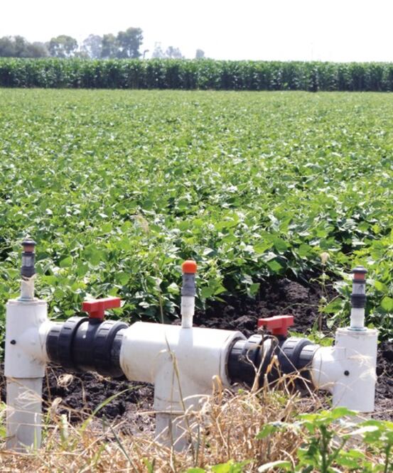 Agronegocios: nuevo reto