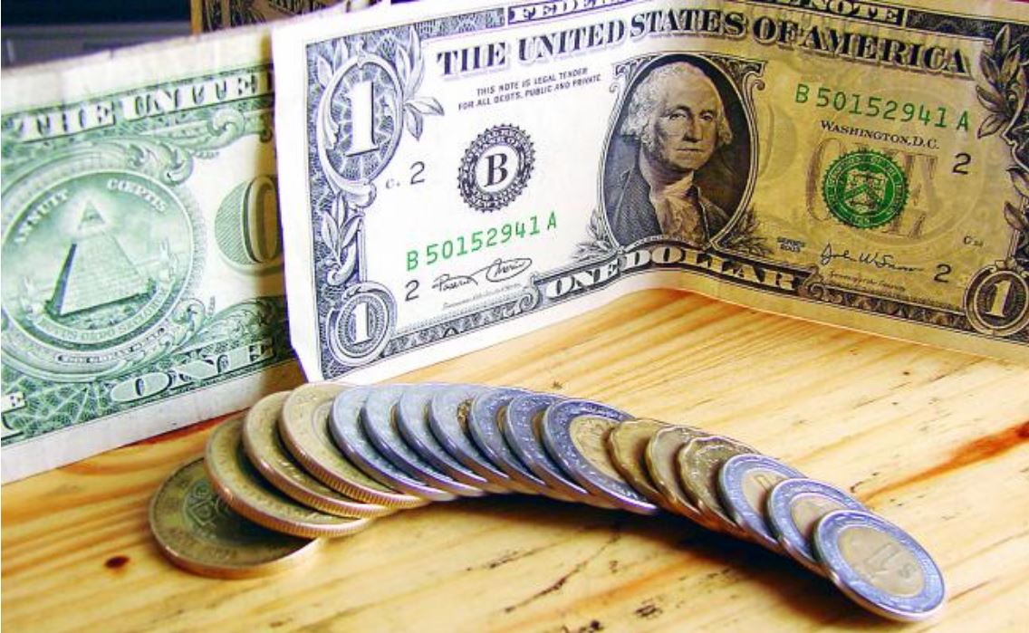 Dólares. Foto: Archivo