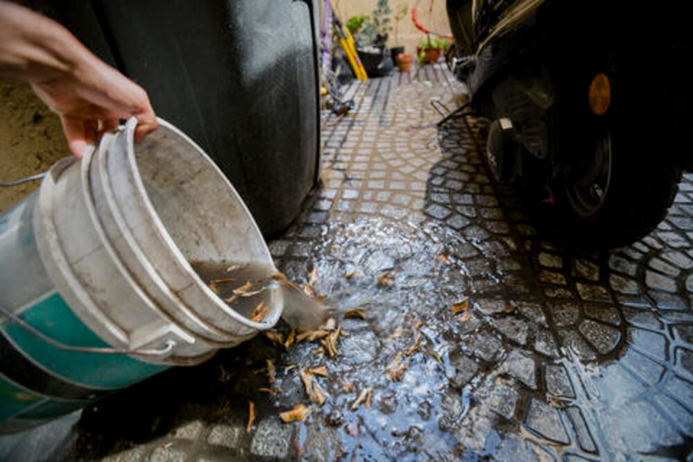En aumento, casos de zika: Colegio Médico