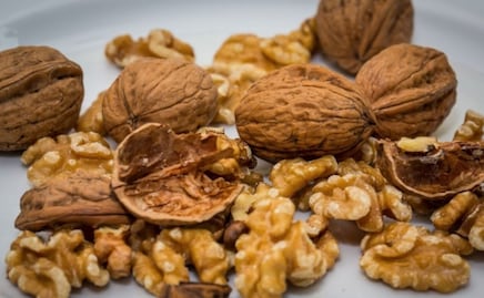 ¿Buscas disminuir tu consumo de carne? Estos alimentos son ricos en proteína