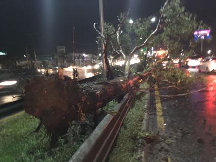 Intensa lluvia provoca afectaciones en Querétaro