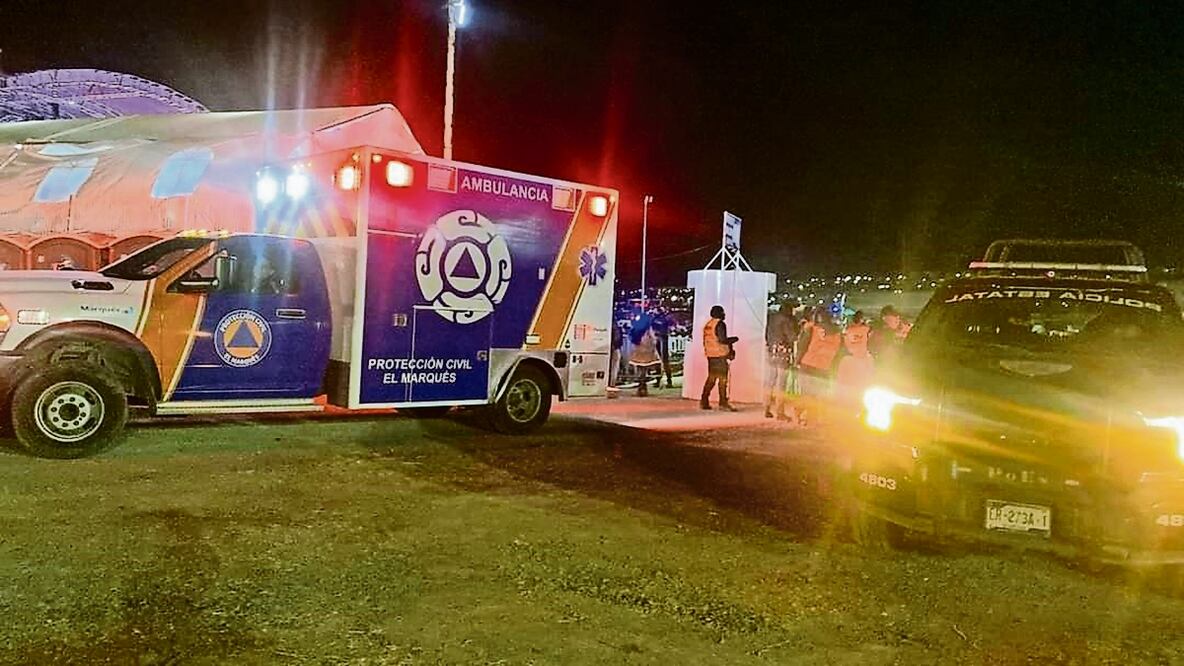 Saldo blanco en Feria Ganadera