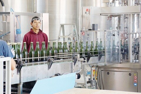 Busca explorar nuevos horizontes