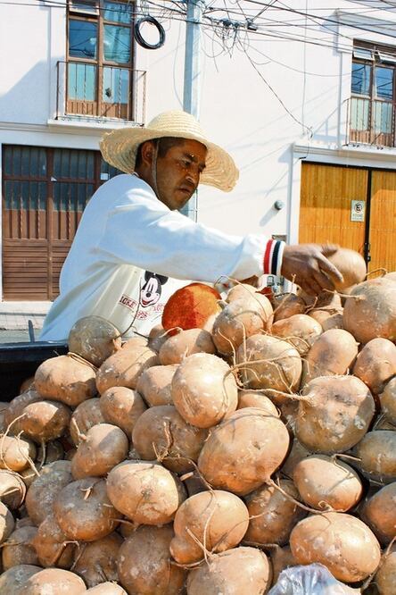 “Jugosas” ganancias con venta de frutas