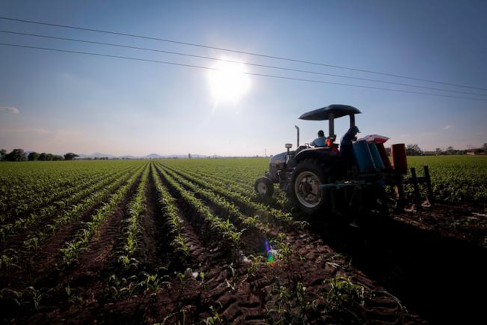 Foto: Archivo. EL UNIVERSAL