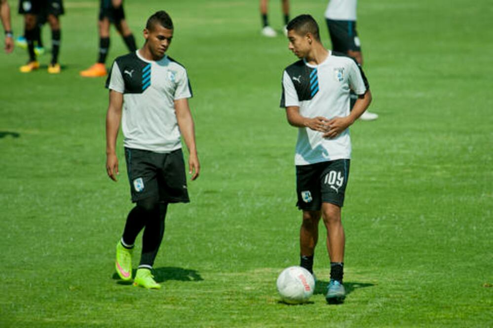 Los Gallitos van por la revancha