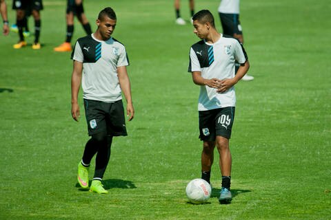 Los Gallitos van por la revancha