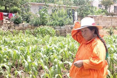 Catálogo de pueblos indígenas