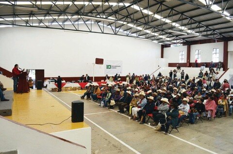 Desahogan 117 juicios agrarios