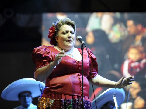 Ellos le cantan a México