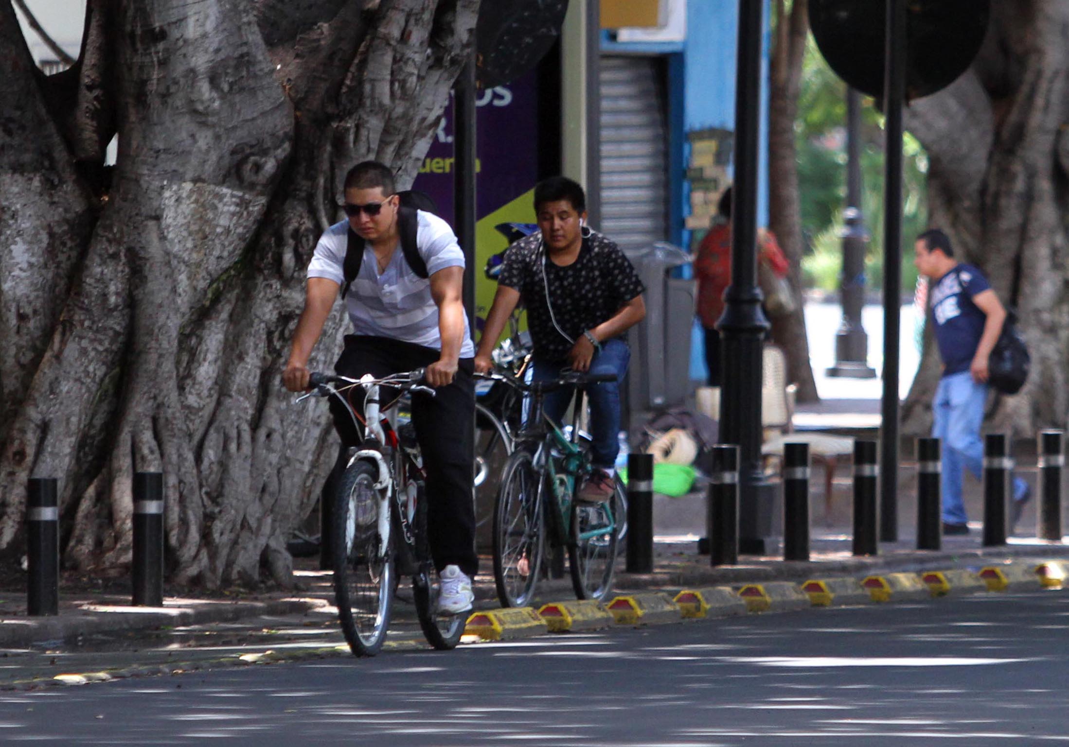 Mueren 39 ciclistas en nueve años