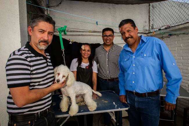 Mascotas, a la espera de casa y cariño