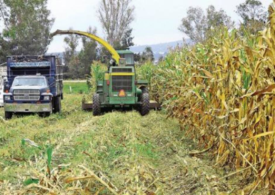 La capital registra buen cierre de producción 