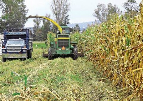 La capital registra buen cierre de producción