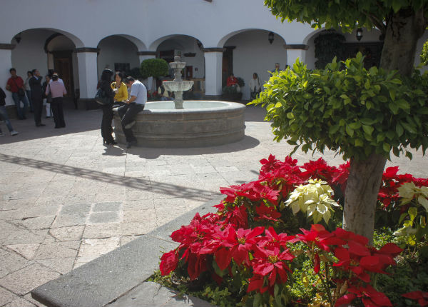 Incrementan proveedores en SJR