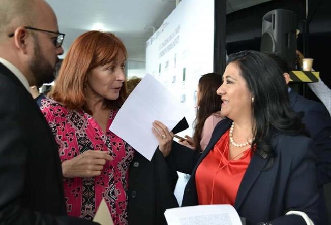 “Grilla barata” la petición de morenistas, dice Francisco Domínguez