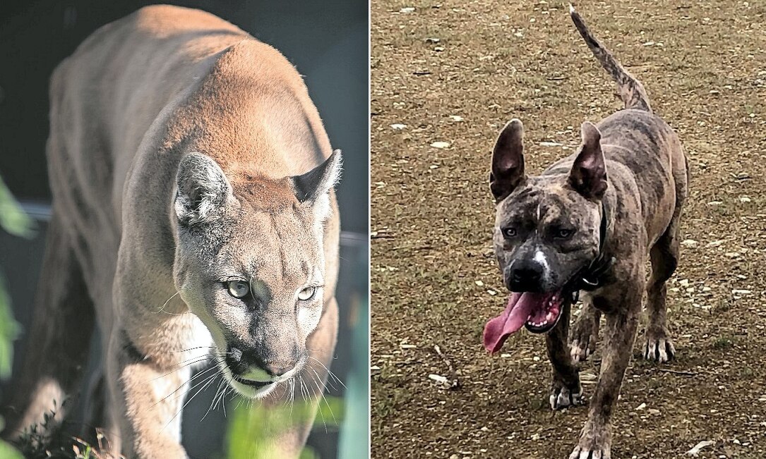 Foto: Facebook Jesús Eduardo Pérez Flores