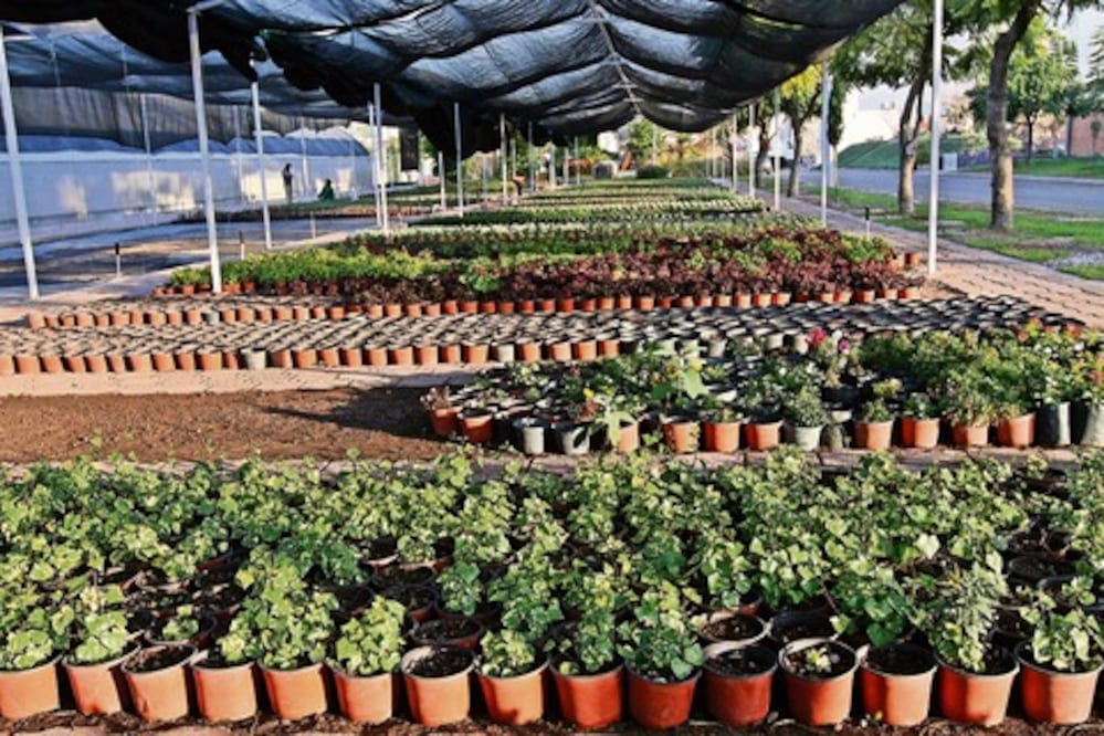 Capital, autosuficiente en áreas verdes