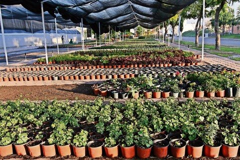 Capital, autosuficiente en áreas verdes