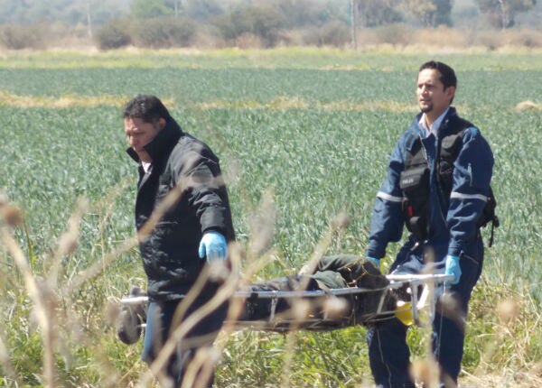 Hallan cadáver en cultivo