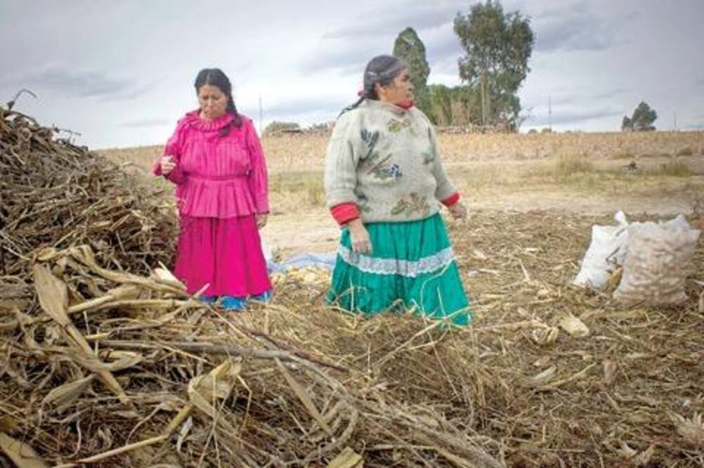 Buscan apoyar a pueblos indígenas