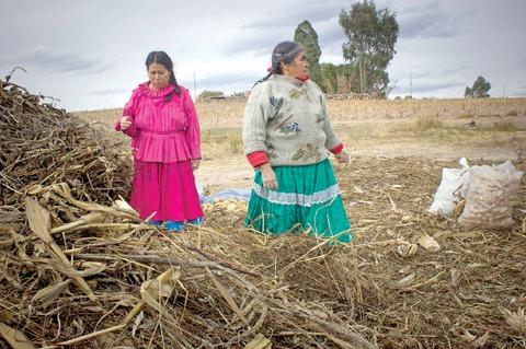 Buscan apoyar a pueblos indígenas